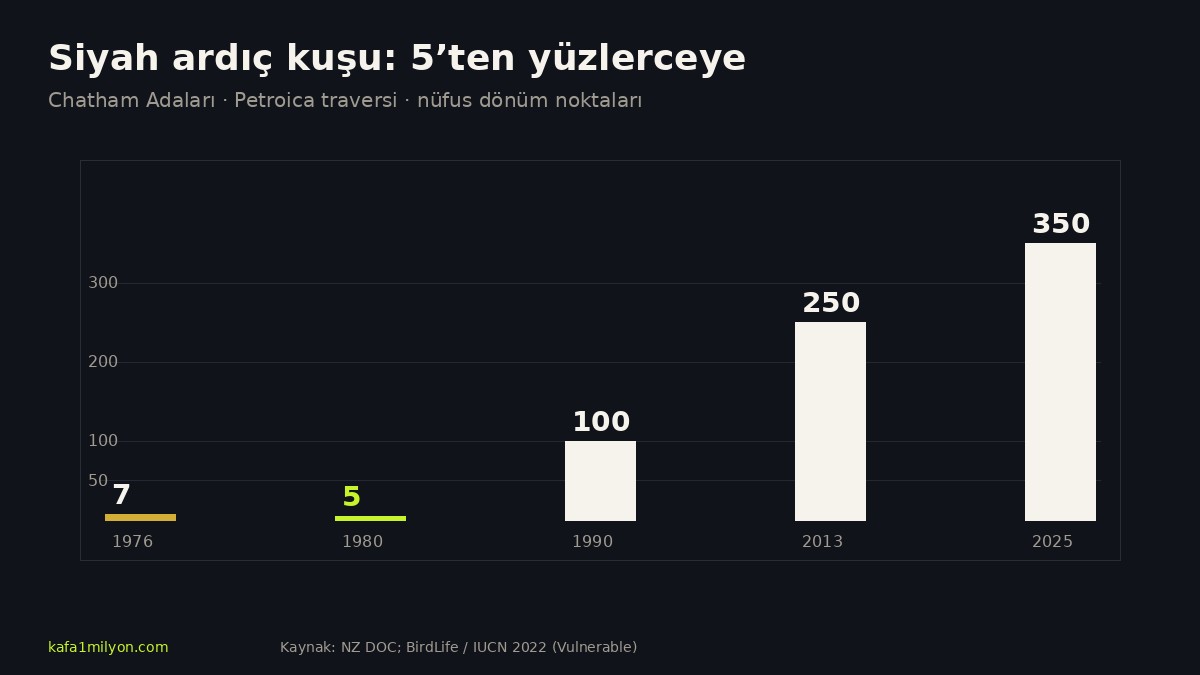 Grafik: 1976'da 7, 1980'de 5, 1990'da 100, 2013'te 250, 2025'te yaklaşık 350 kuş