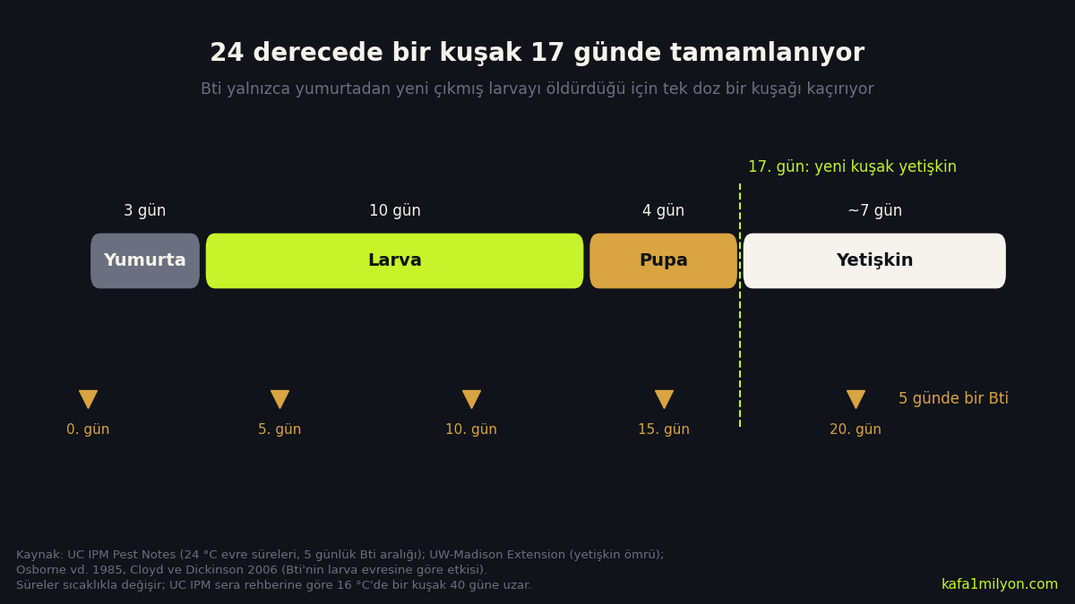 24 derecede mantar sineği yaşam döngüsü: 3 gün yumurta, 10 gün larva, 4 gün pupa, yaklaşık 7 gün yetişkin; altta 0, 5, 10, 15 ve 20. günlerde Bti uygulama işaretleri