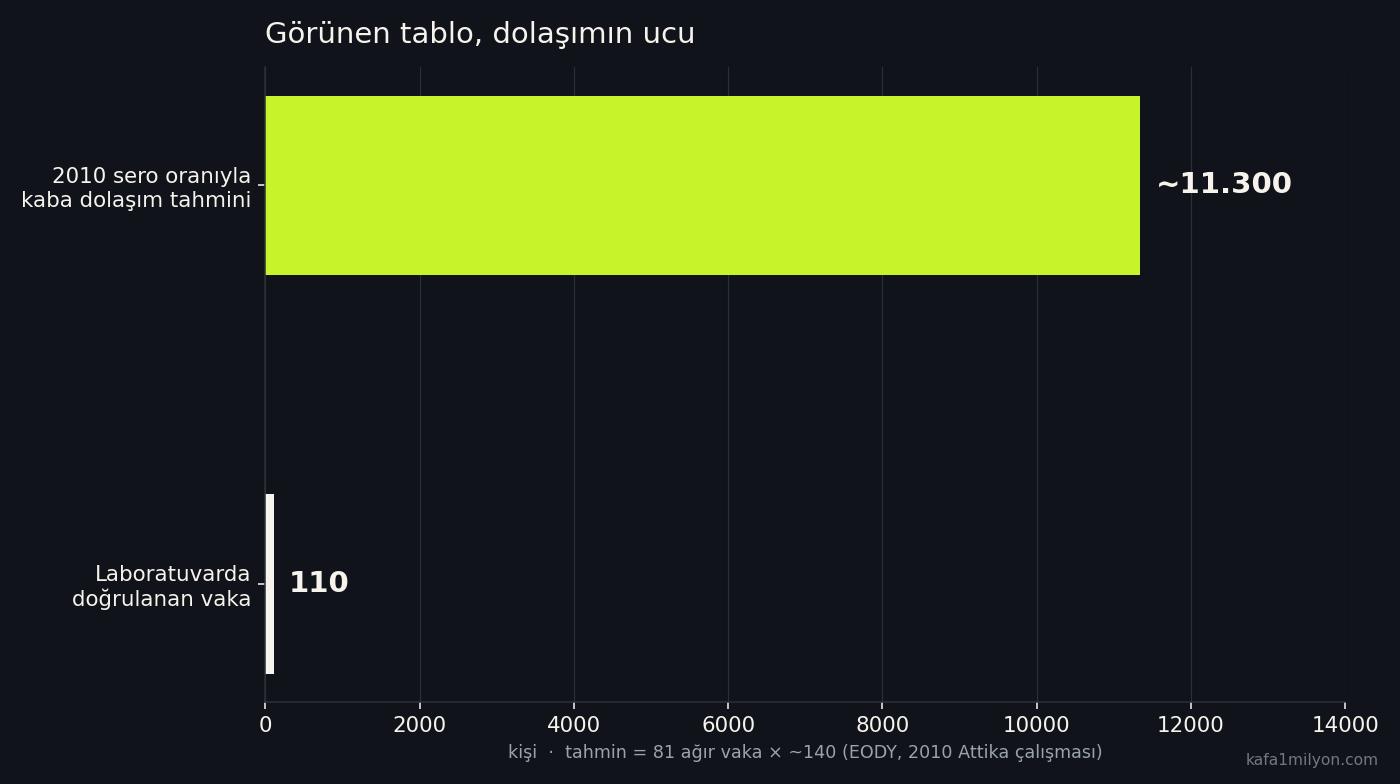 110 doğrulanmış vakaya karşı 2010 sero oranıyla yaklaşık 11 bin kişilik dolaşım tahmini