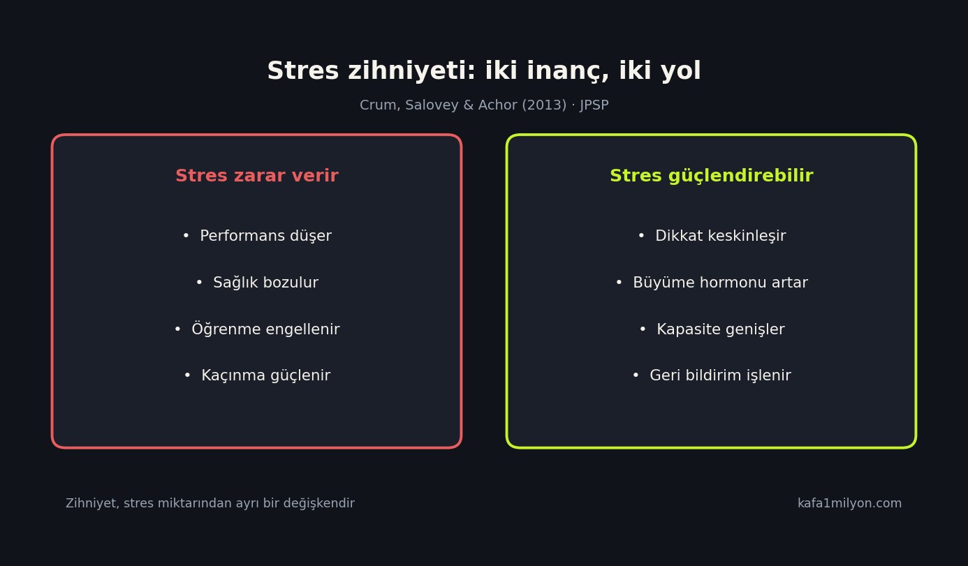 İki sütunlu grafik: sol kırmızı 'stres zarar verir', sağ limon 'stres güçlendirebilir' inançları ve sonuçları