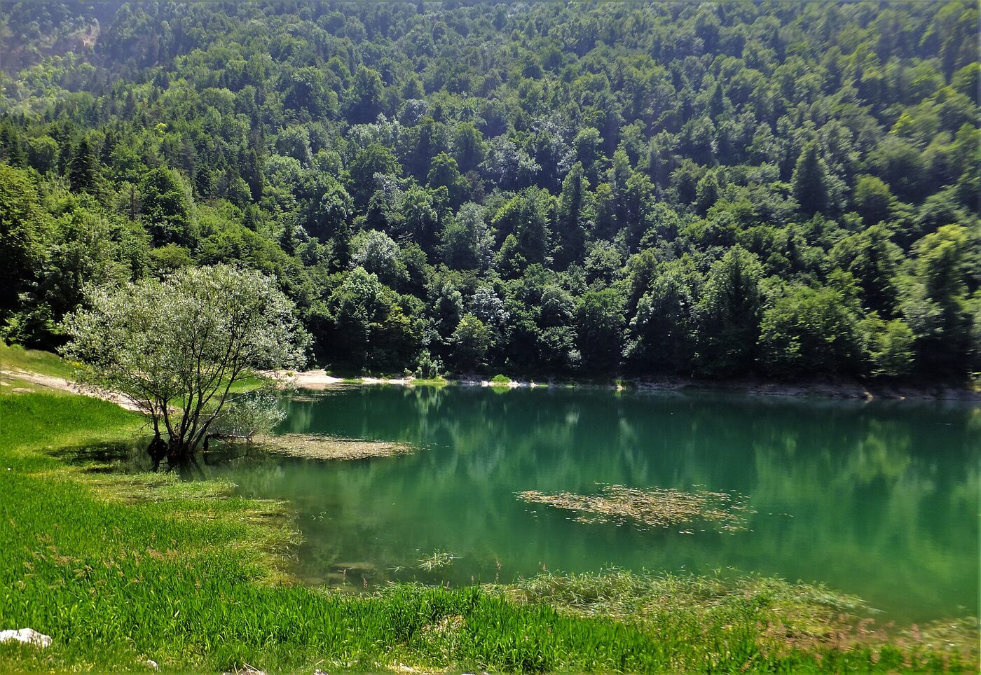 Sülüklügöl kenarı haziran 2019