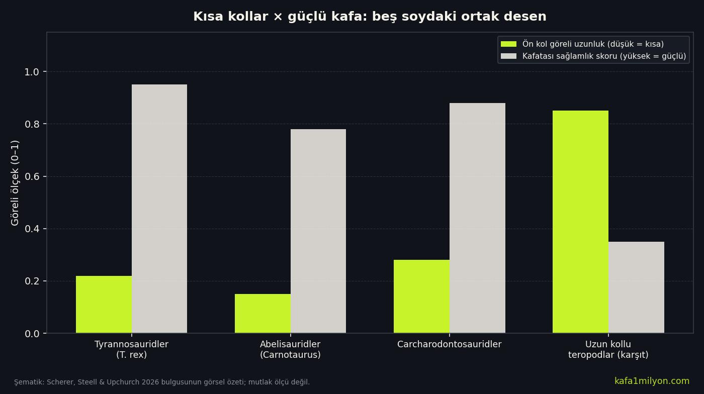 Kısa kollu teropod soylarında göreli kol uzunluğu ile kafatası sağlamlık skorunun şematik karşılaştırması