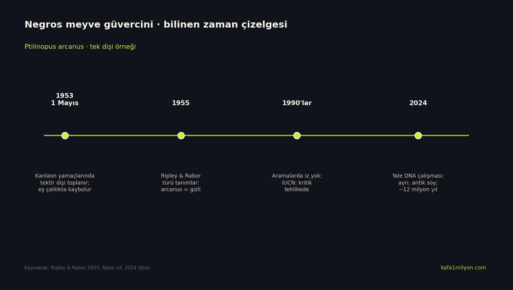 Negros meyve güvercini zaman çizelgesi
