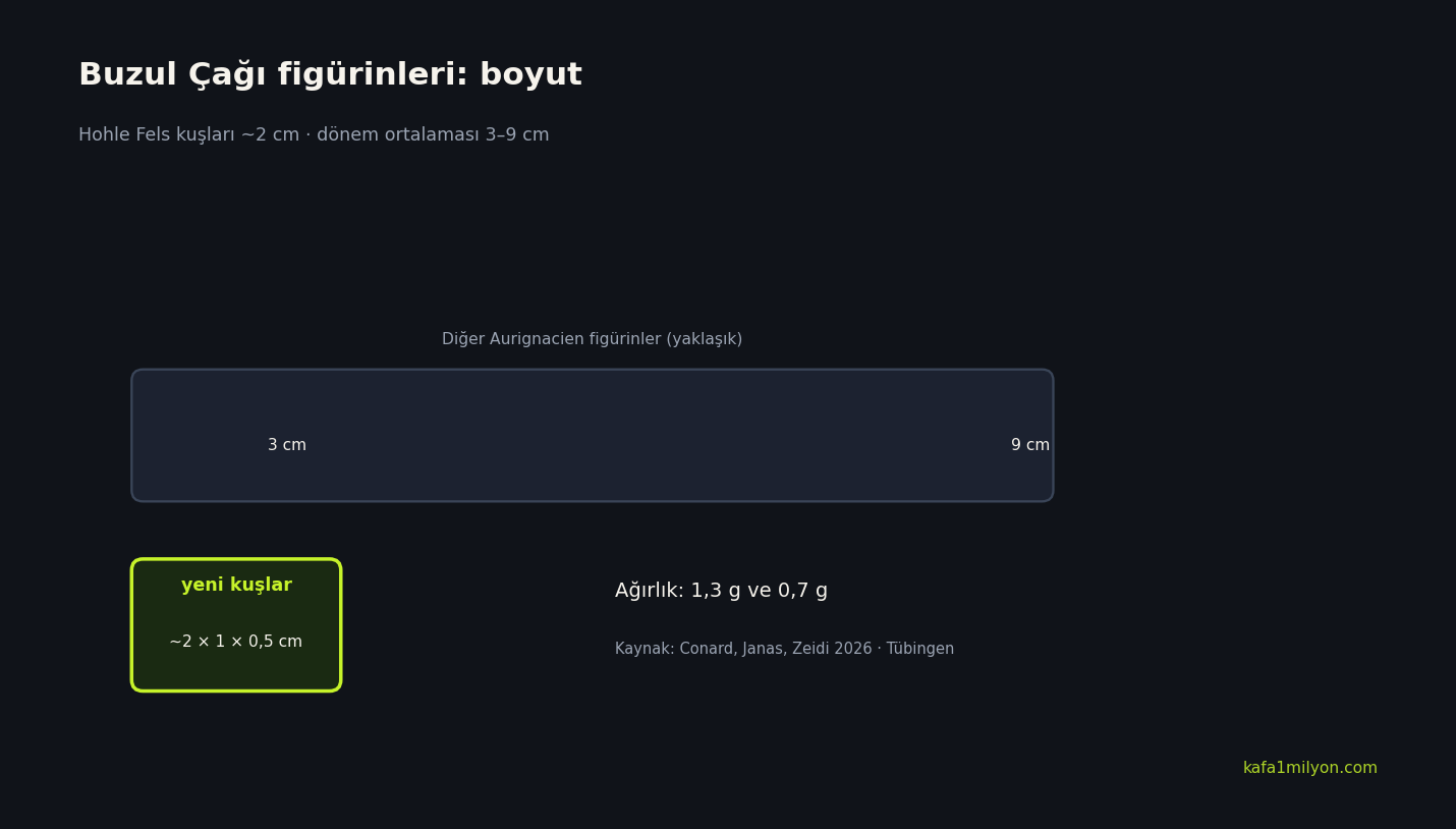 Yeni kuş figürinlerinin yaklaşık 2 cm boyutu ile dönem ortalaması 3-9 cm karşılaştırması