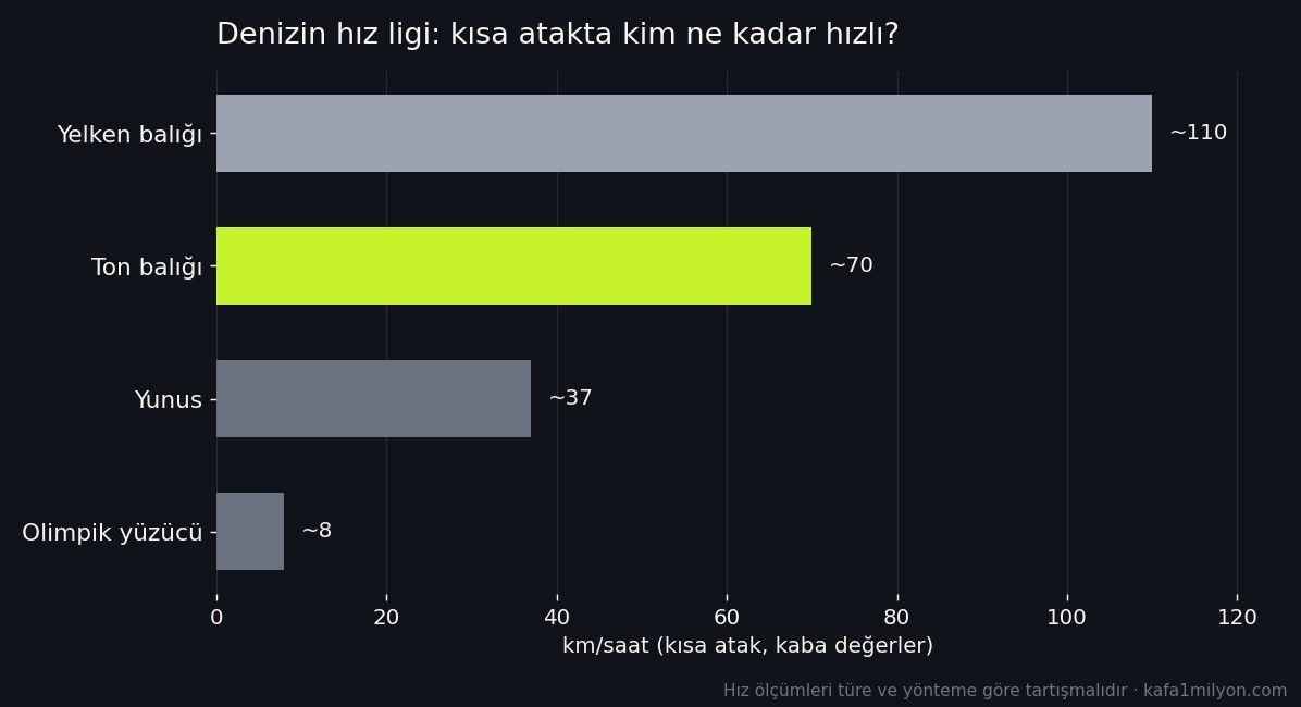 Denizin hız ligini gösteren yatay çubuk grafik: yelken balığı yaklaşık 110, ton balığı 70, yunus 37, olimpik yüzücü 8 kilometre saat