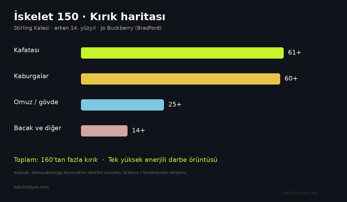 İskelet 150 kırık dağılımını gösteren bilgi grafiği