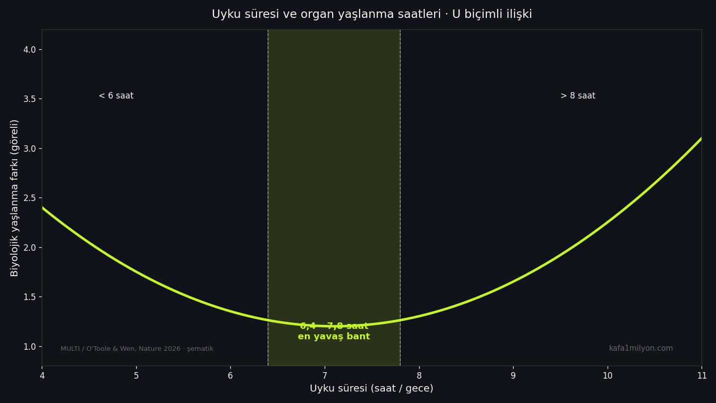 Uyku süresi ile biyolojik yaşlanma arasındaki U şeklinde ilişki şeması