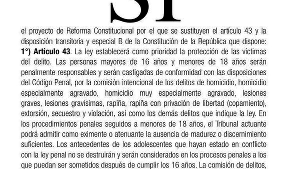 Uruguay anayasa referandumunda kullanılan oy pusulası örneği