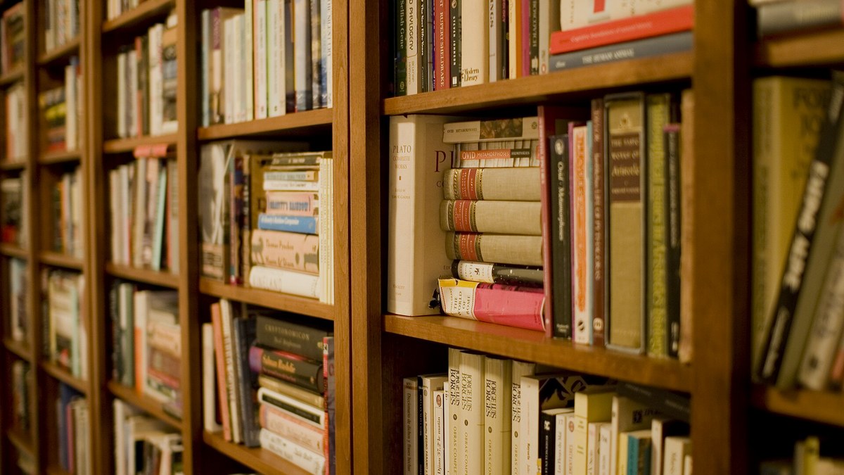 Dolmuş bir kitap rafı