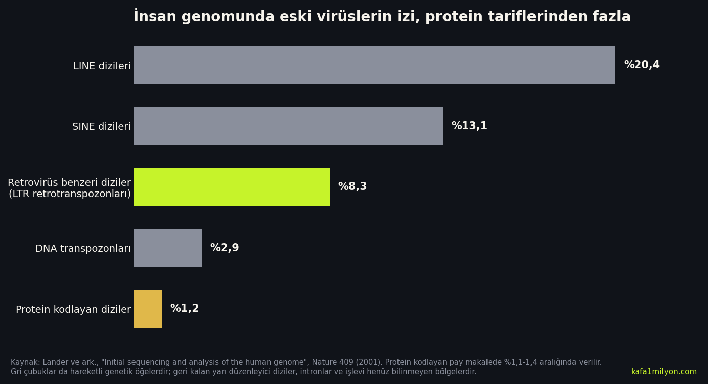 Yatay çubuk grafik: insan genomunda LINE dizileri yüzde 20,4, SINE dizileri yüzde 13,1, retrovirüs benzeri diziler yüzde 8,3, DNA transpozonları yüzde 2,9, protein kodlayan diziler yaklaşık yüzde 1,2