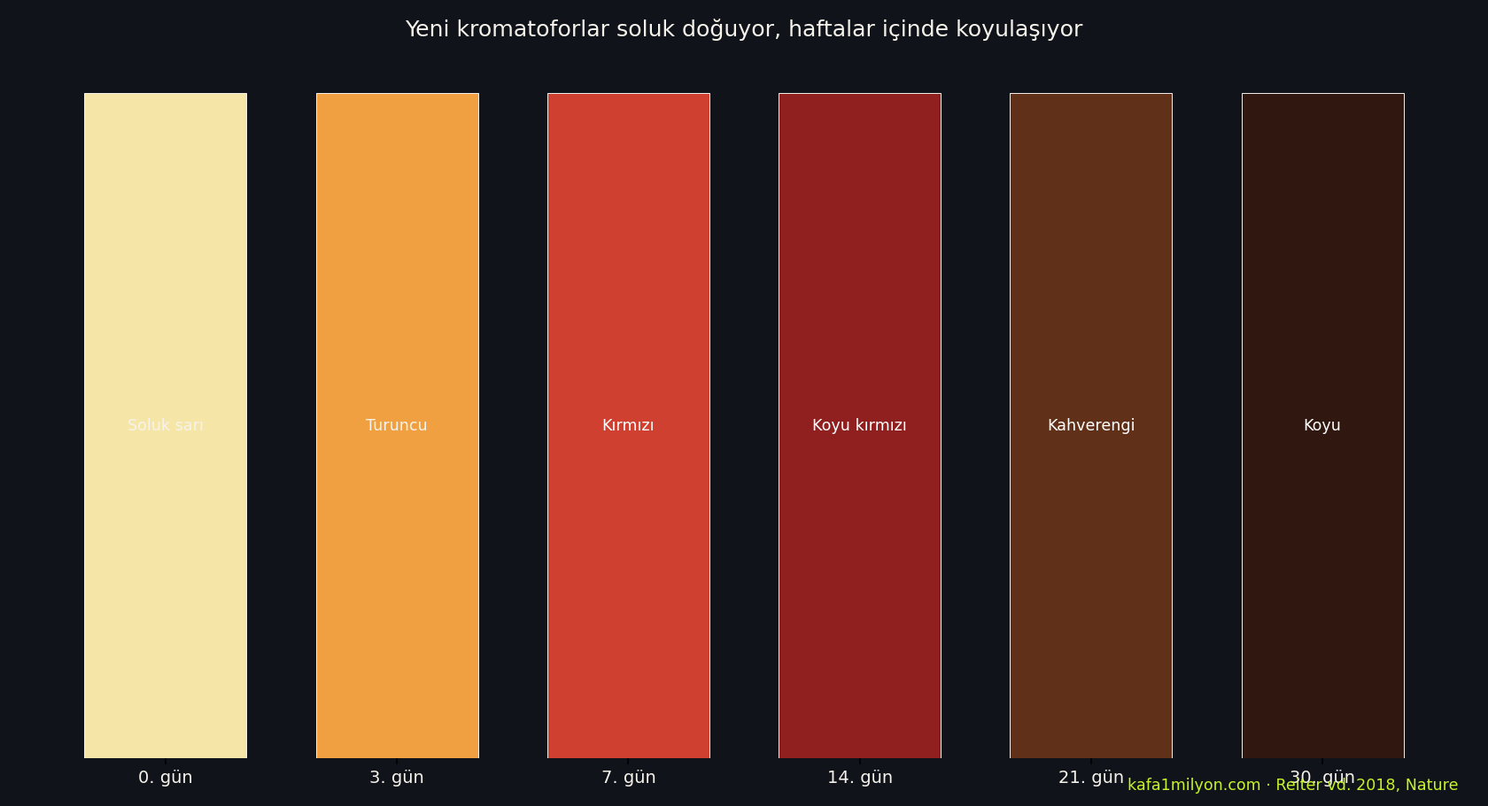 Kromatofor olgunlaşması: soluk sarıdan koyu tona geçiş grafiği