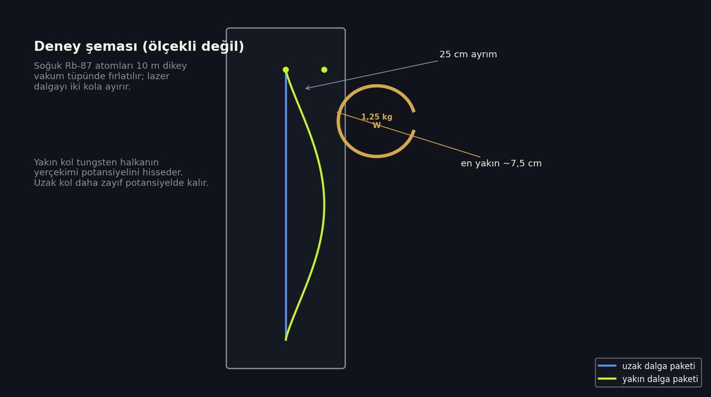 Soğuk atom girişimölçerinde iki dalga paketi ve yakındaki tungsten kaynak kütlenin şeması