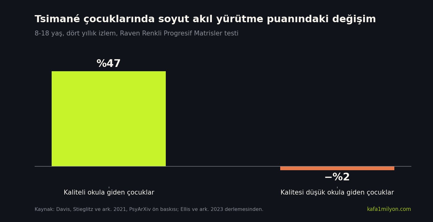 Çubuk grafik: Tsimané çocuklarında dört yılda soyut akıl yürütme puanı kaliteli okulda yüzde 47 arttı, kalitesi düşük okulda yüzde 2 azaldı